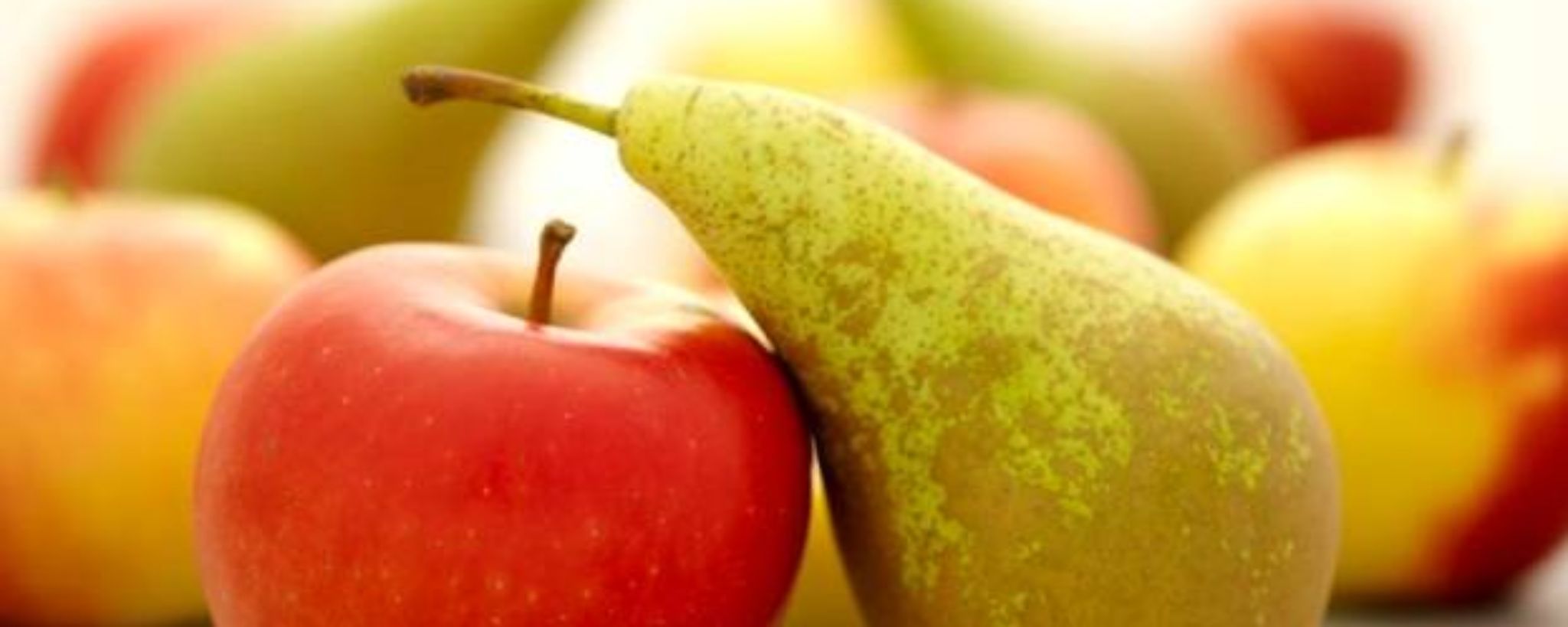 Fruit